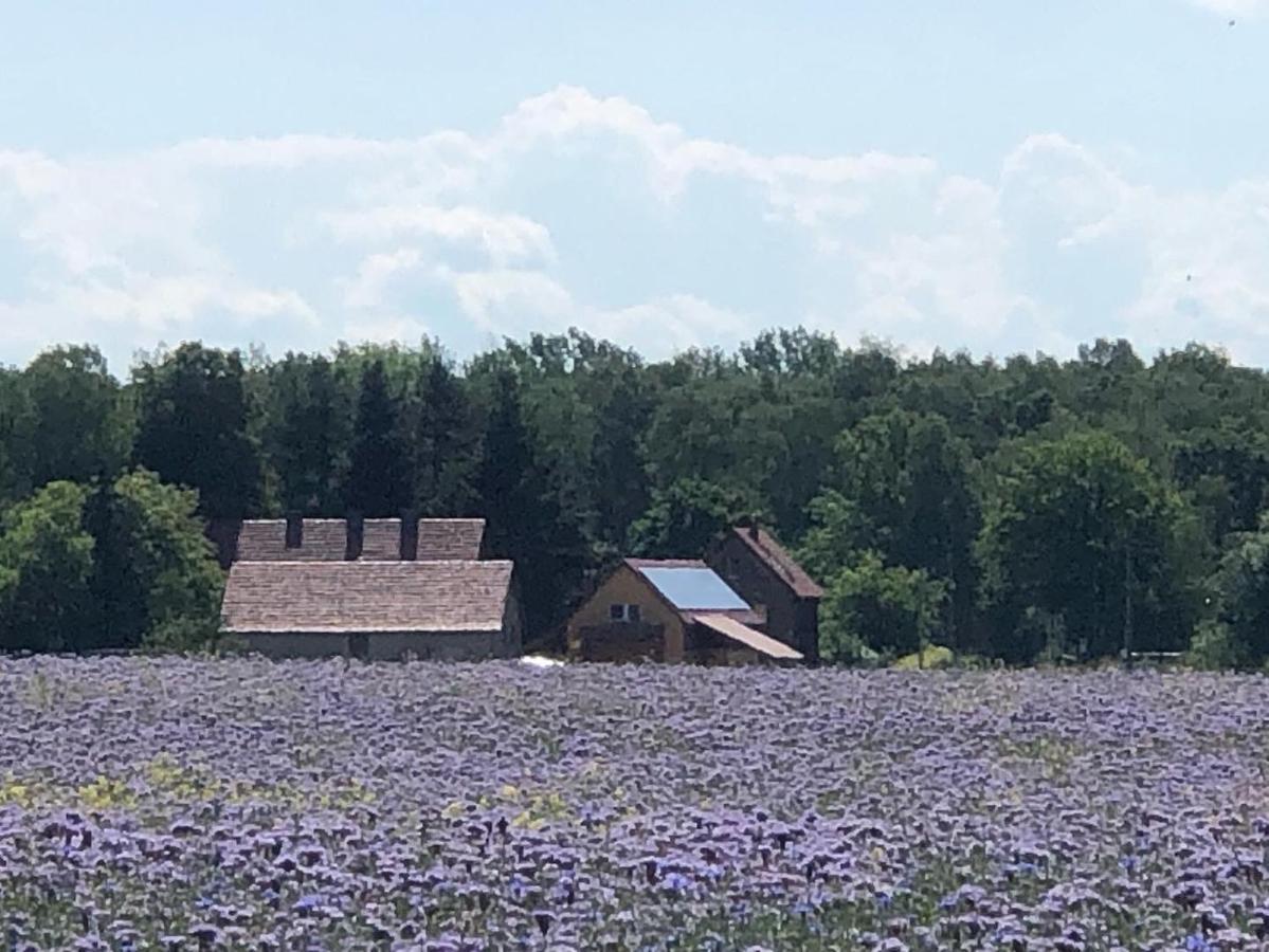 Ferienhof Olbasee Kleinsaubernitz ภายนอก รูปภาพ
