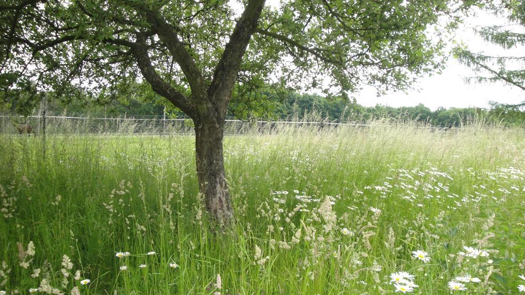 Ferienhof Olbasee Kleinsaubernitz ภายนอก รูปภาพ