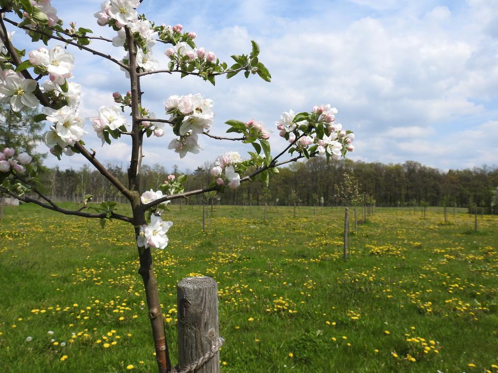 Ferienhof Olbasee Kleinsaubernitz ภายนอก รูปภาพ