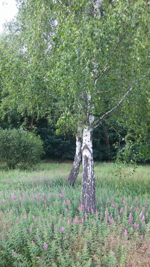 Ferienhof Olbasee Kleinsaubernitz ภายนอก รูปภาพ